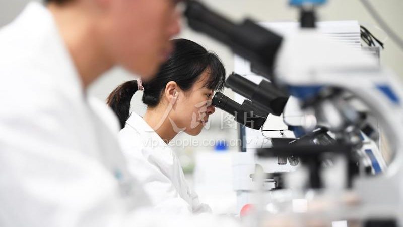 生物医药外包与自主开发，哪条路更适合您的项目？**