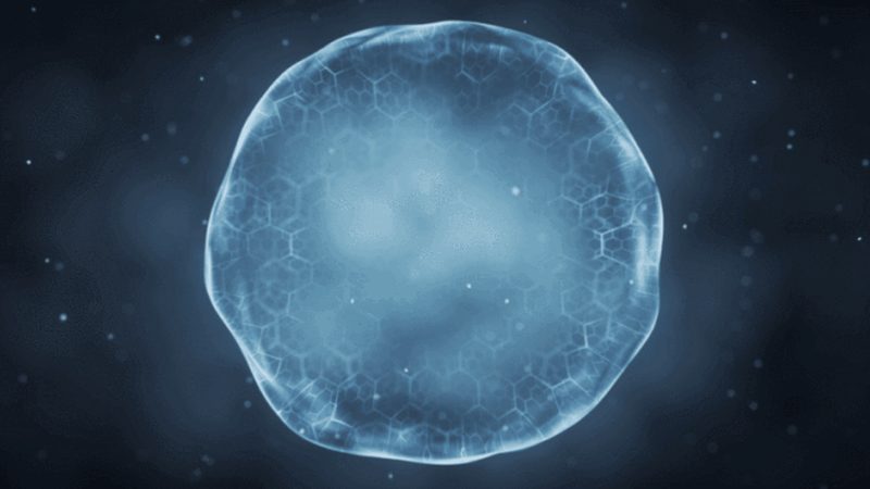 进口移液器吸头：揭秘其选型逻辑与关键考量
