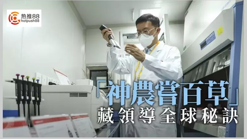 无创基因检测假阳性率几何？揭秘其背后的科学真相**