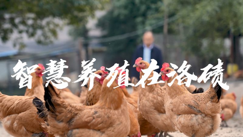 谷歌Optimize替代工具：探索精准优化新选择